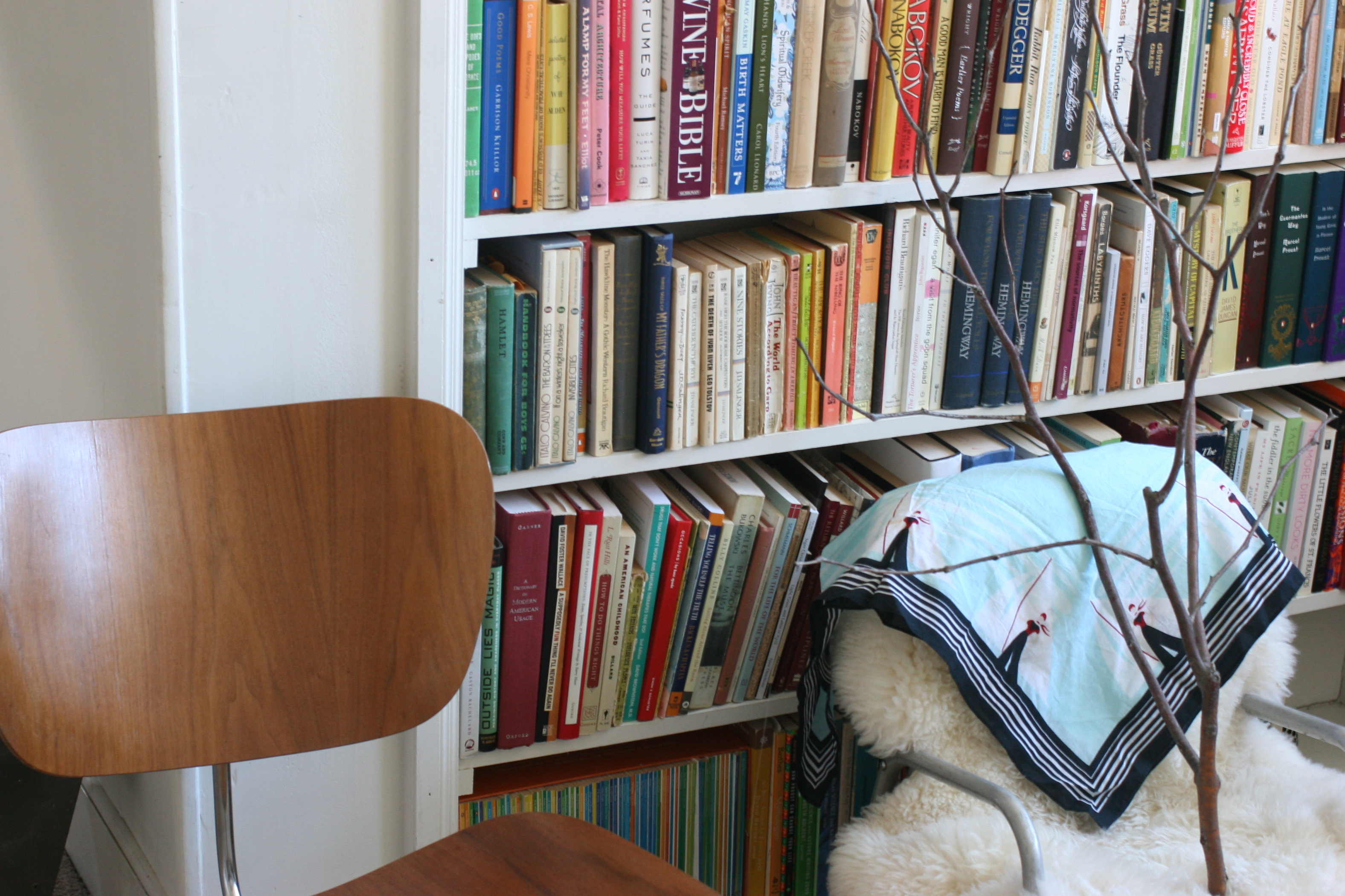 bookshelves