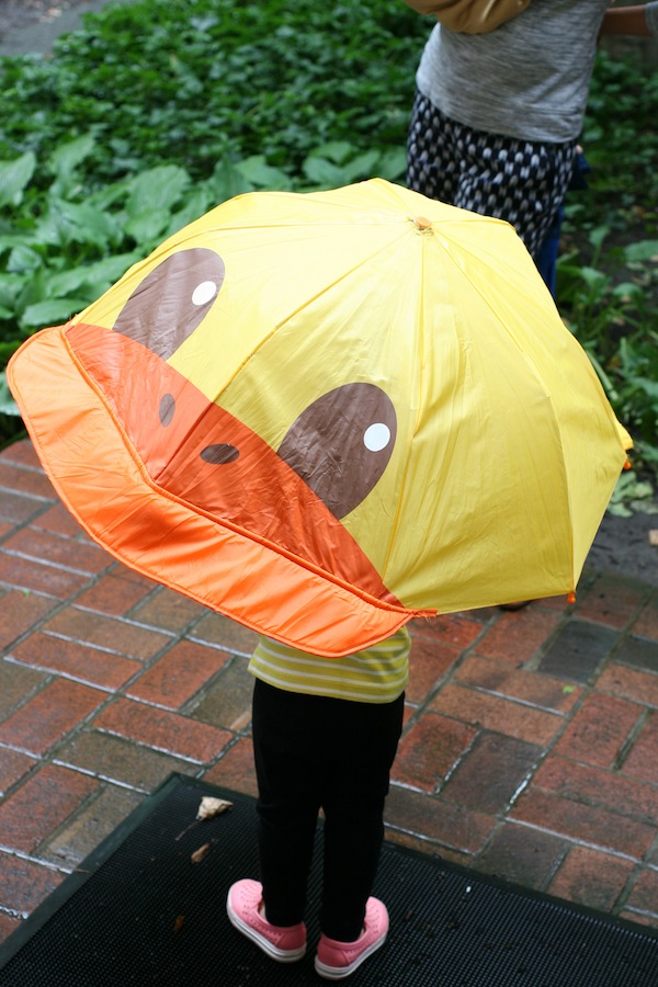 duckbrella