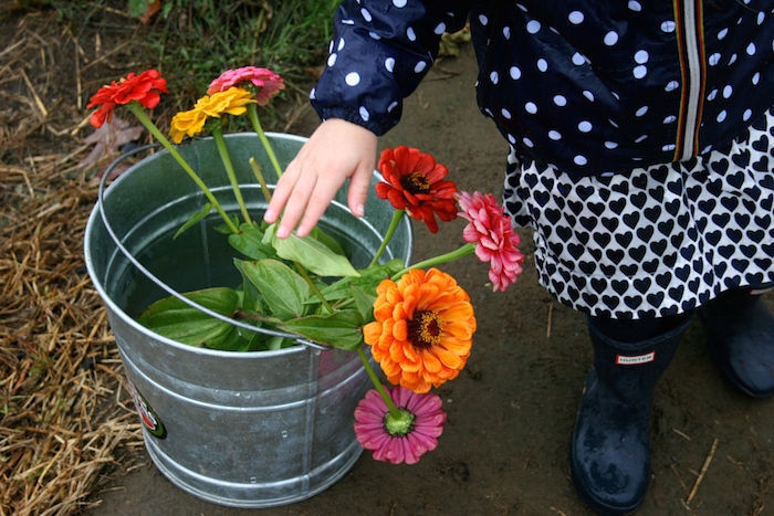 bucket