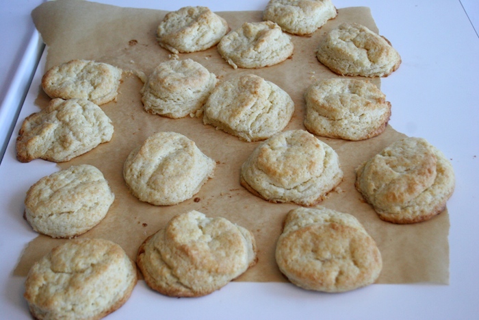 biscuits