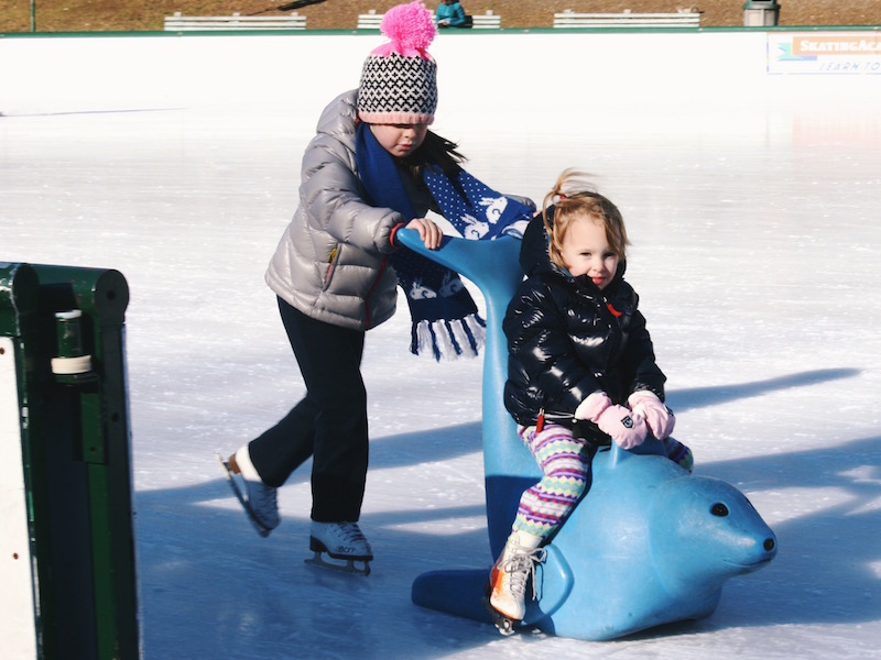 boston_common_rink